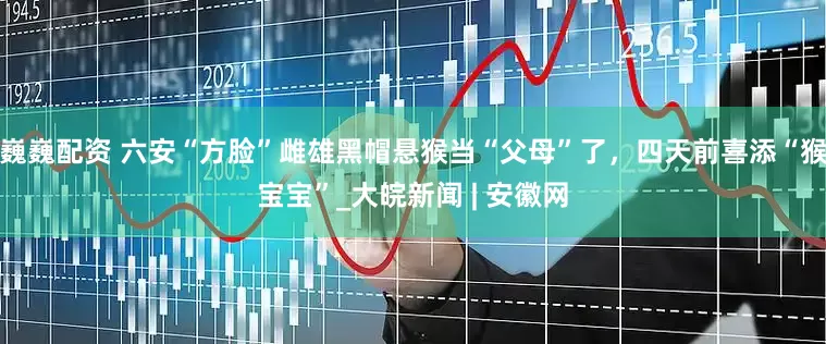巍巍配资 六安“方脸”雌雄黑帽悬猴当“父母”了，四天前喜添“猴宝宝”_大皖新闻 | 安徽网