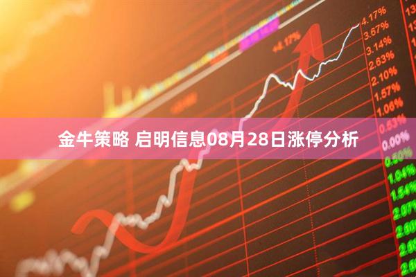 金牛策略 启明信息08月28日涨停分析